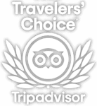 tripadvisor-travelers-2020